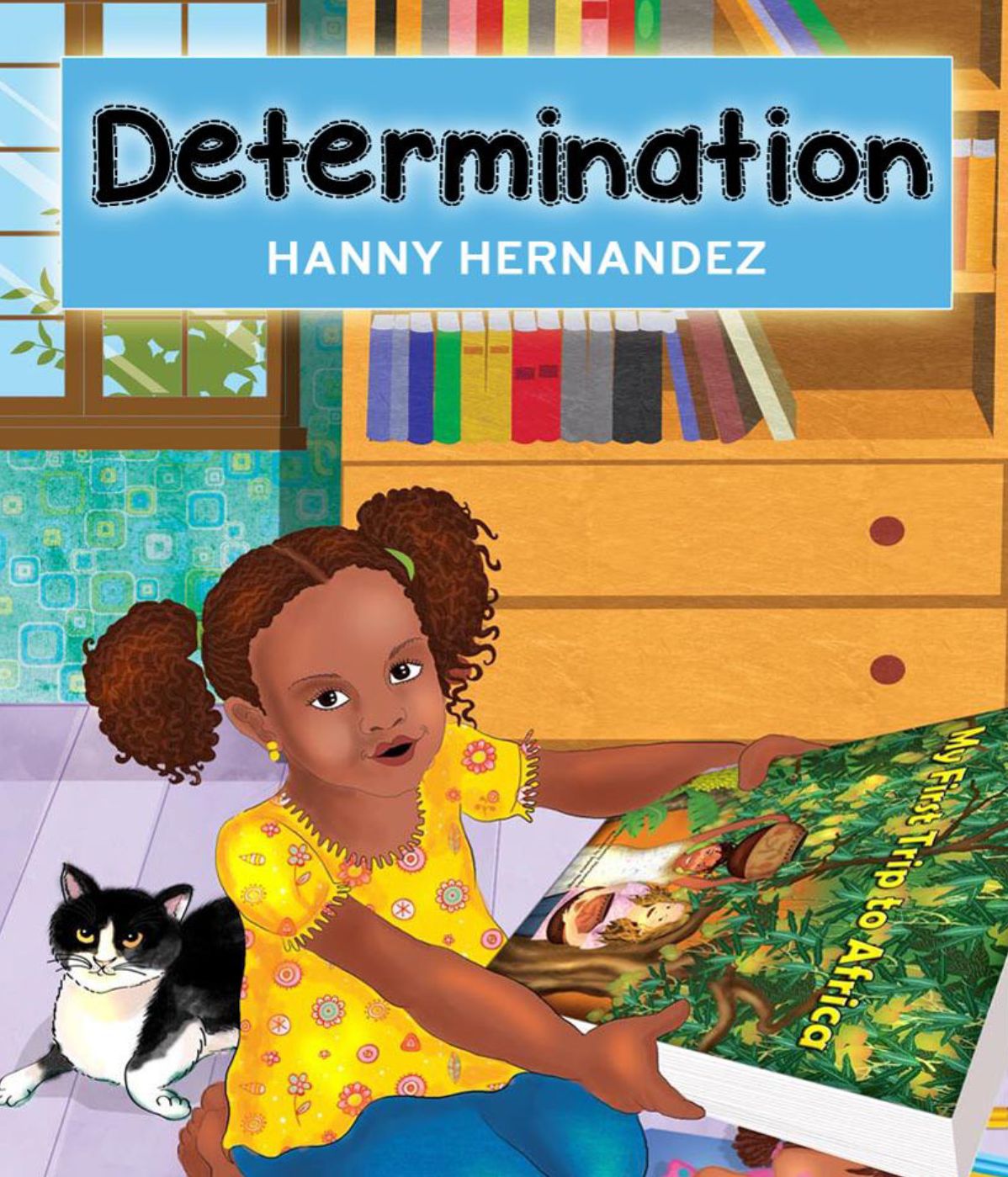 Determination (Swedish)