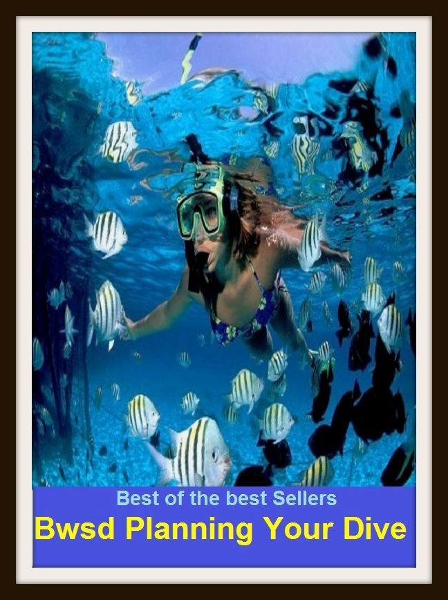 Best of the Best Sellers Bwsd Planning Your Dive (bump, collapse, collide, ditch, dive, drop, hurtle, lurch, meet, pitch)