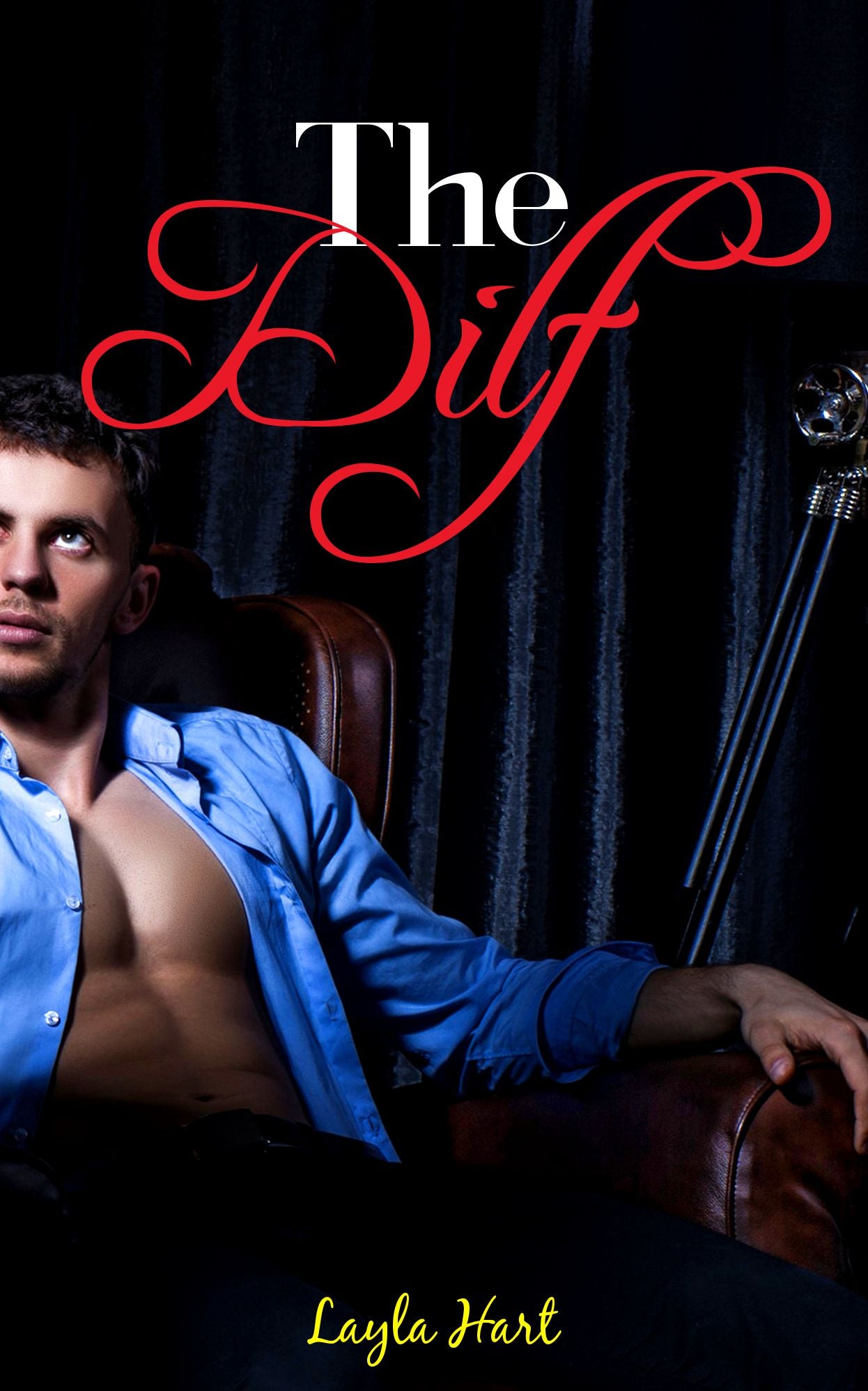 The Dilf (first time gay older man sex erotica)