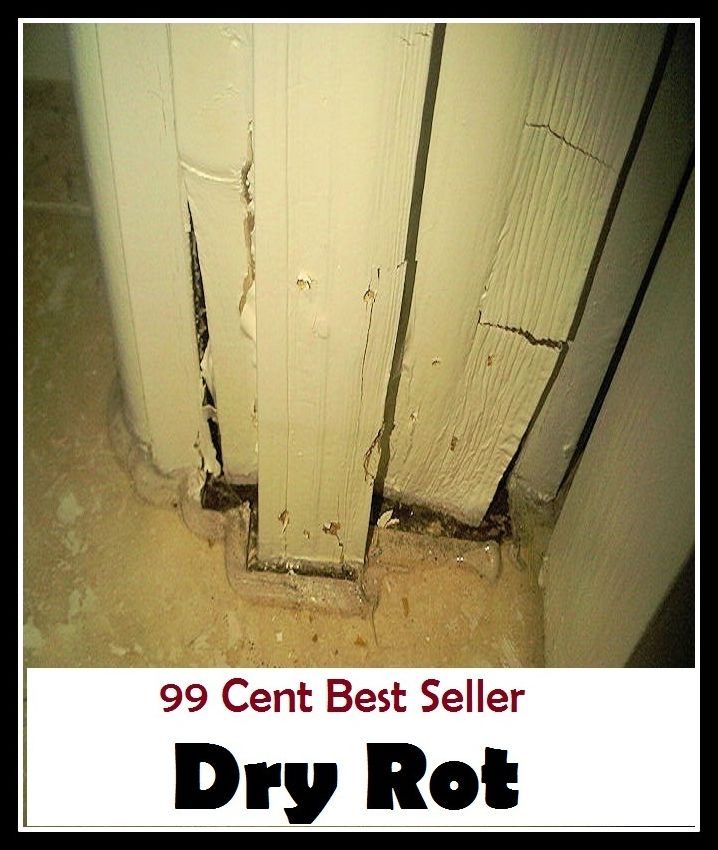 99 cent best seller Adventure, Horror, Mystery Classics Best Seller's for 99 Cents Dry Rot (Mystery, romance, action, adventure, war thriller, horror, thriller, suspense, Dracula, vampire, devil, hell, death )