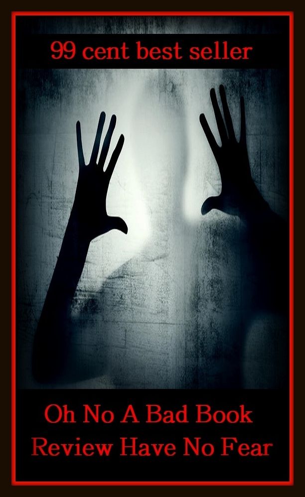 99 Cent Best Seller Oh No A Bad Book Review Have No Fear ( review, analysis, audit, check, inspection, report, revision, scrutiny, survey, checkup, drill, file, reassessment, reflection )