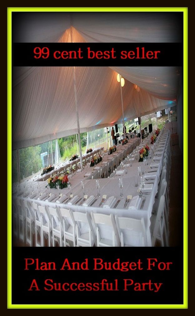 99 Cent Best Seller Plan And Budget For A Successful Party ( families, household, domestic, relatives, households, dynasty, home, familiar, household-type, family-run, family-related, family-owned, kin, family-based, marital, clan, parents )