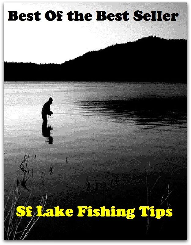 Best of the Best Sellers Sf Lake Fishing Tips ( go fishing, angle, cast, trawl, troll, seine, goblin, hobgoblin, gnome, halfling )