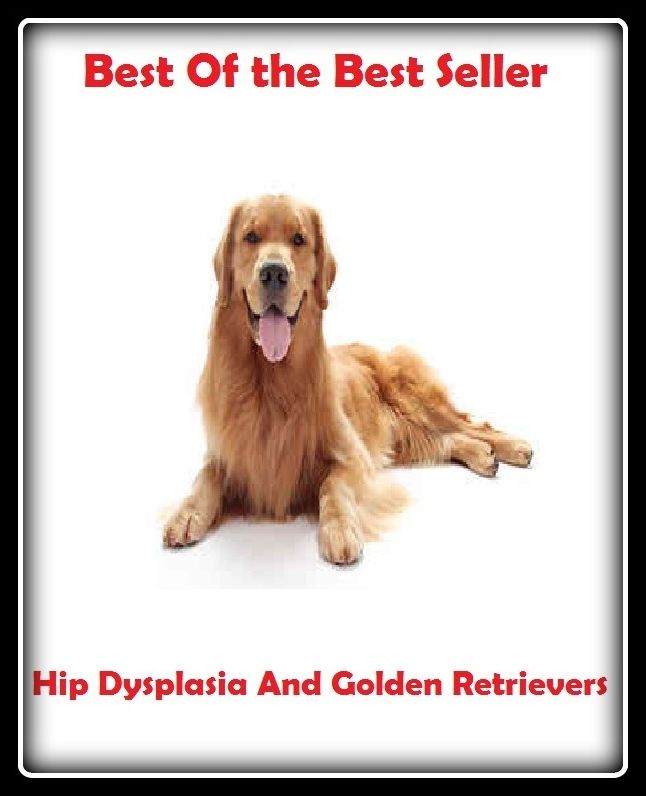 Best of the Best Sellers Hip Dysplasia And Golden Retrievers ( successful, prosperous, flourishing, thriving, favorable, providential, lucky, fortunate, happy, joyful, glorious )
