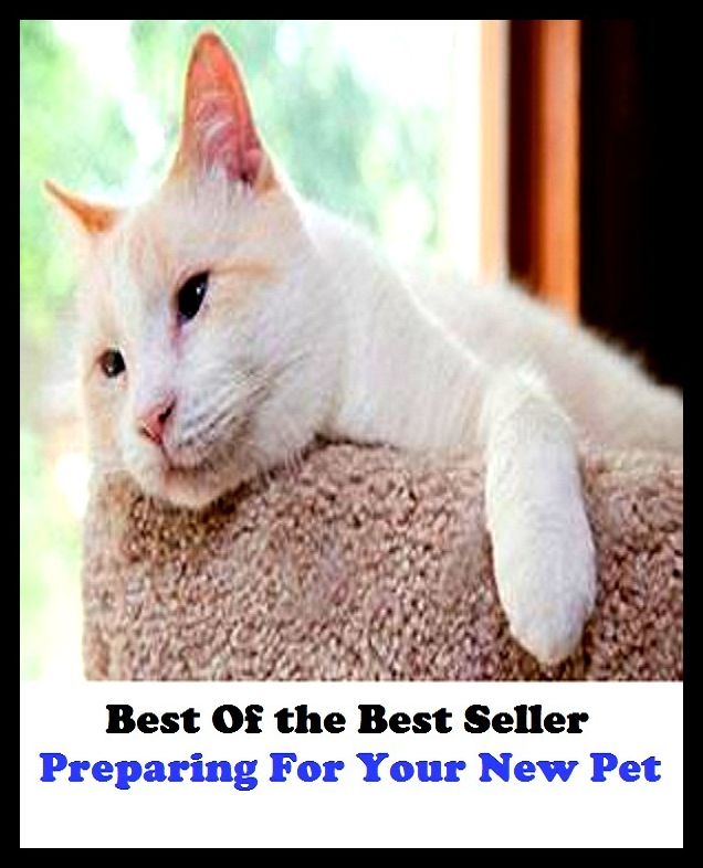 Best of the best sellers Preparing For Your New Pet ( Reptile, slither, pet, constrictor, venom, Cobra, Boa, Garden, moccasin, rattle snake, anaconda, viper, sea snake, water snake, corn snake, pets, pet, science, nature, wildlife )