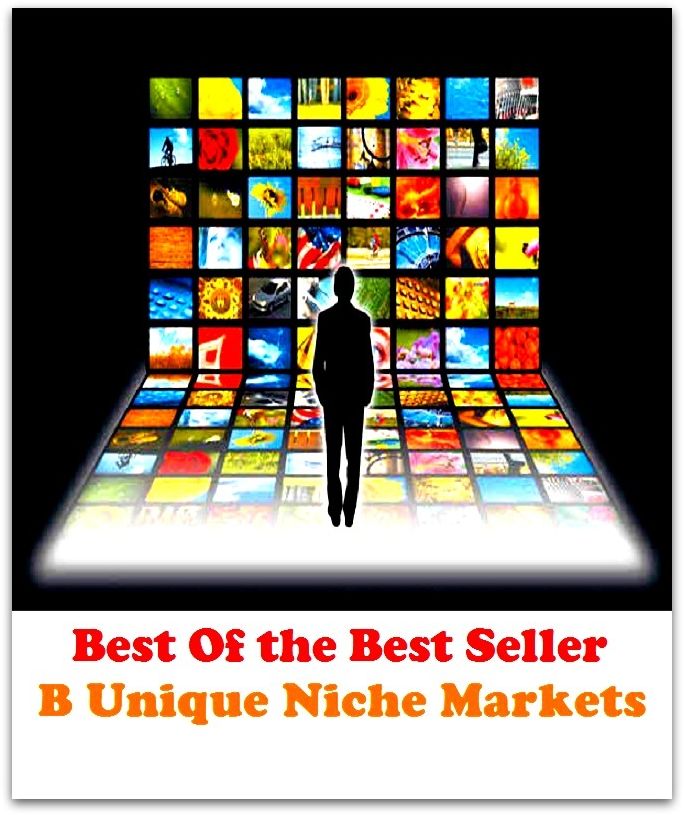Best of the best sellers B Unique Niche Marketsb ( selling, sales, sell, salted, sold, vented, marketing, purchase, sell-off, auction, resale, trading, dirty )