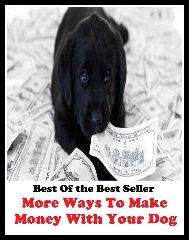 Best of the best sellers More Ways To Make Money With Your Dig ( business, employment, field, trade, work, bag, biz, calling, career, craft, dodge, function, game, line, livelihood, occupation, vocation )
