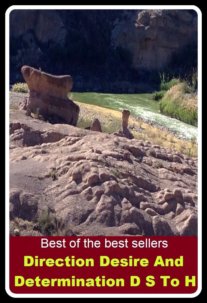 Best of the best seller Direction Desire And Determination Ds To Home Business Success (control, guidance, leadership. order, administration, charge, command, government, oversight, superintendence, supervision)