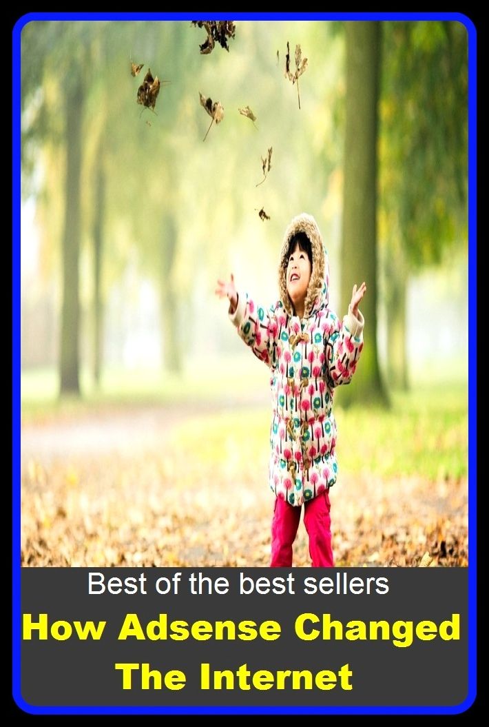 Best of the best seller How Ad sense Changed The Internet (Internet, World Wide Web, communications, computer network, data bank, data network, electronic highway, email, global village, infobahn, virtual community)