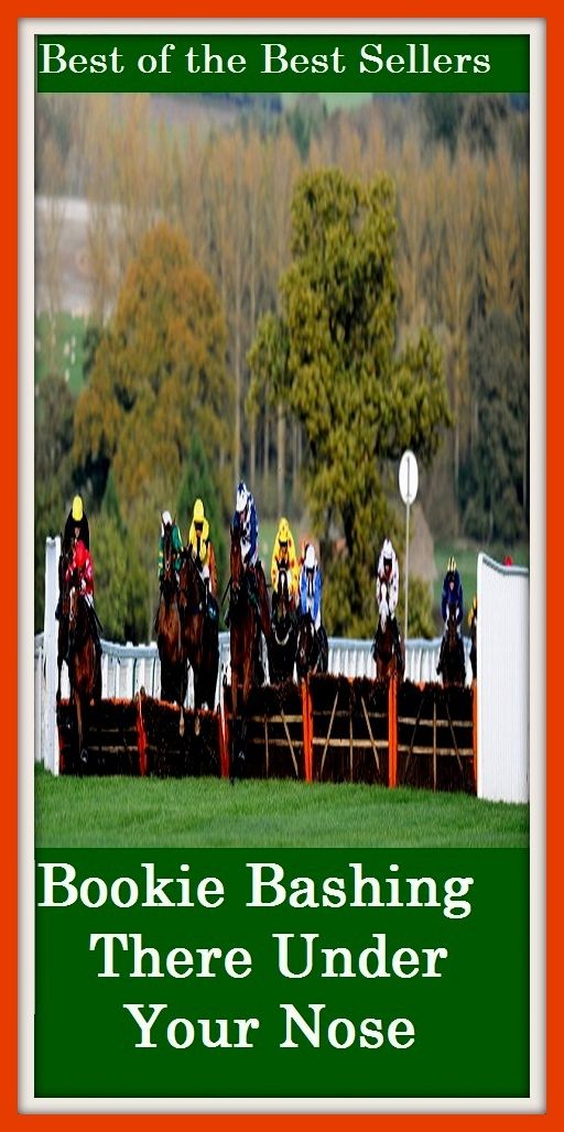Best of the best sellers Bookie Bashing There Under Your Nose ( bookie, horse racing, association football, point spread, bating, fencing, lattice, card game, frame, bettor, play, bookmarker, backer, cardsharp, dicer )