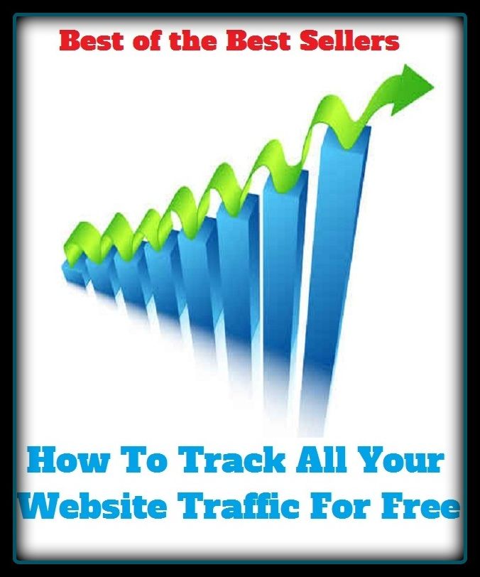 Best of the Best seller How To Track All Your Website Traffic For Free(transfer, transit,transport,travel, service, movement,jam ,passage,rush hour)