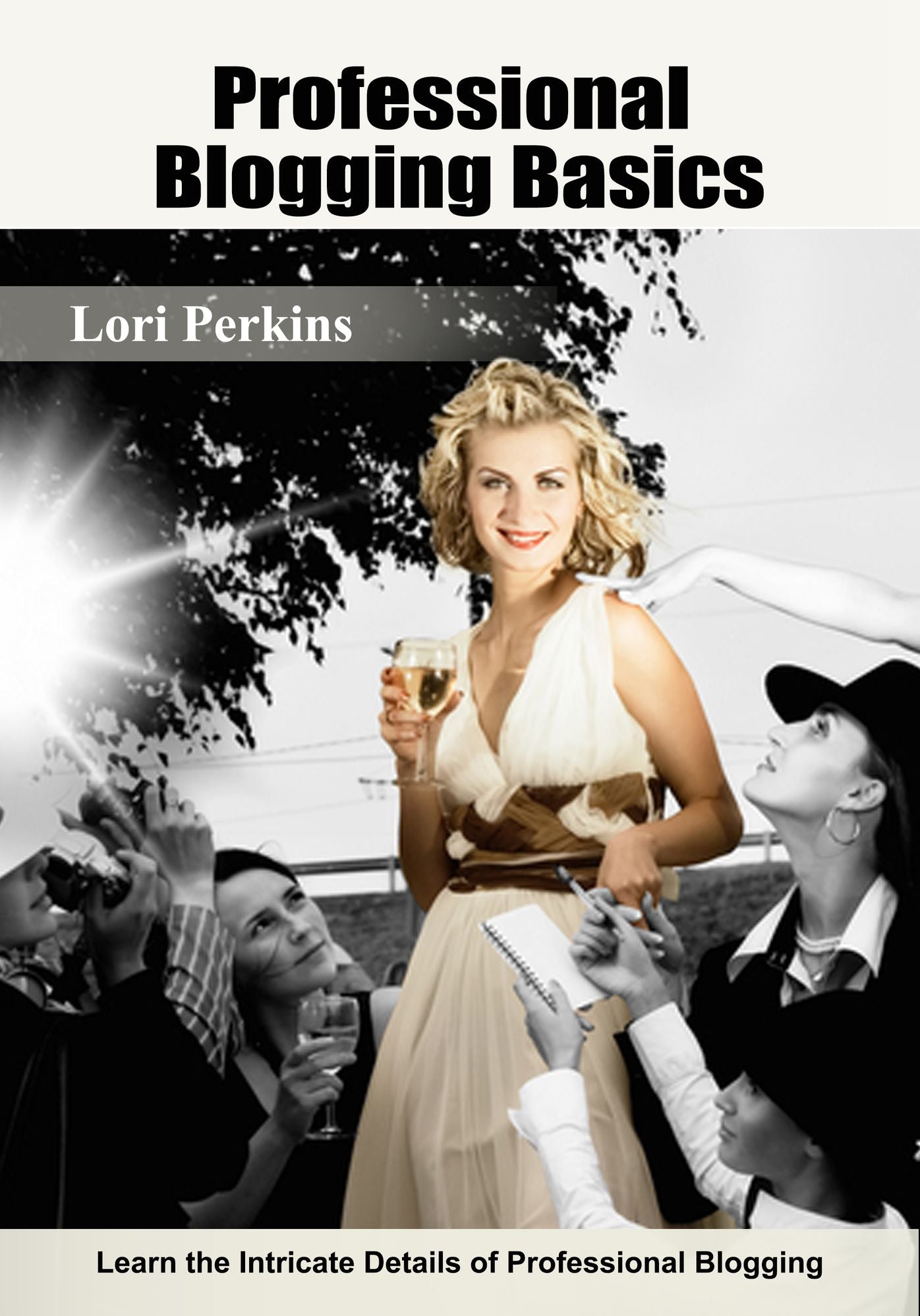 Professional Blogging Basics