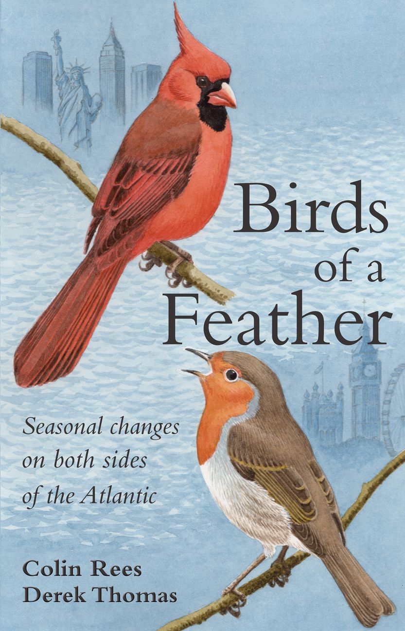 Birds of a Feather: Seasonal Changes on both sides of the Atlantic