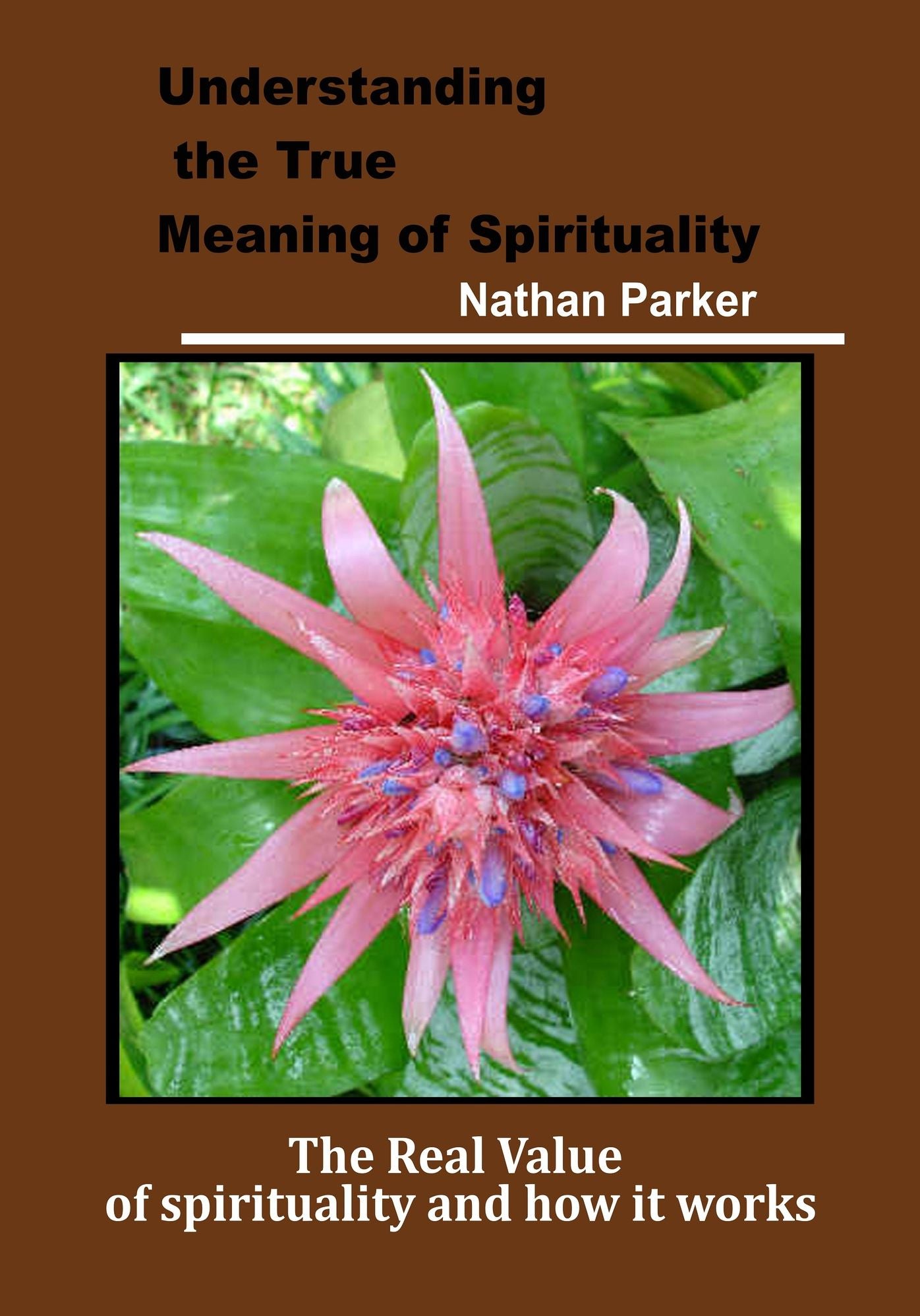 Understanding the True Meaning of Spirituality