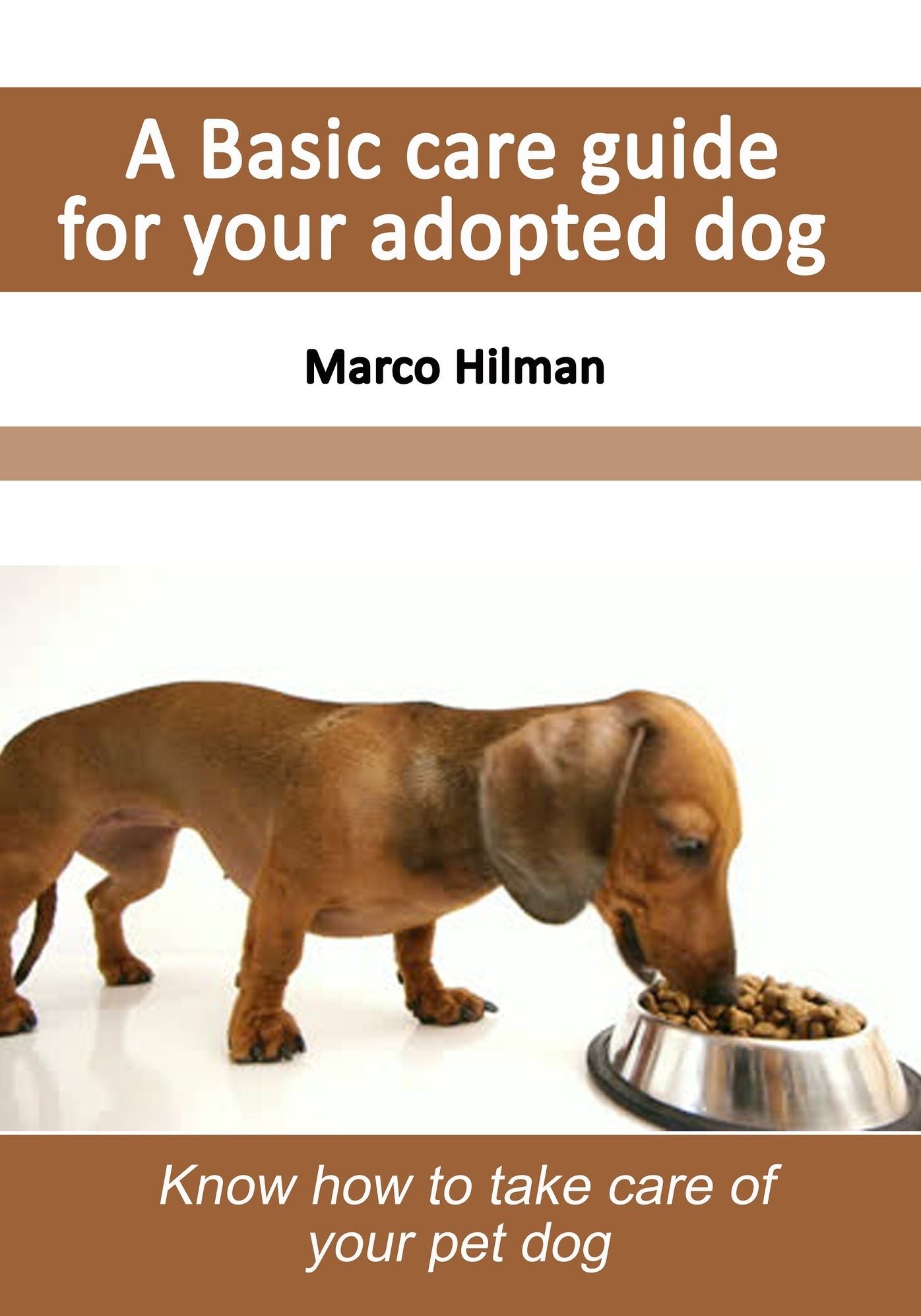 A Basic Care Guide for Your Adopted Dog