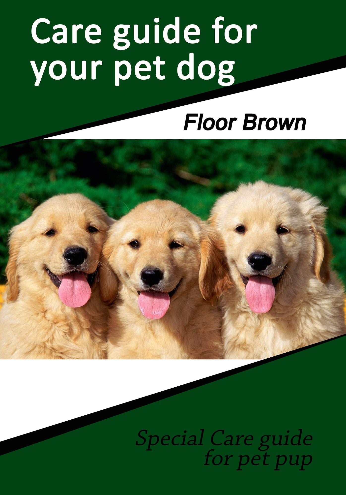 Care Guide for Your Pet Dog