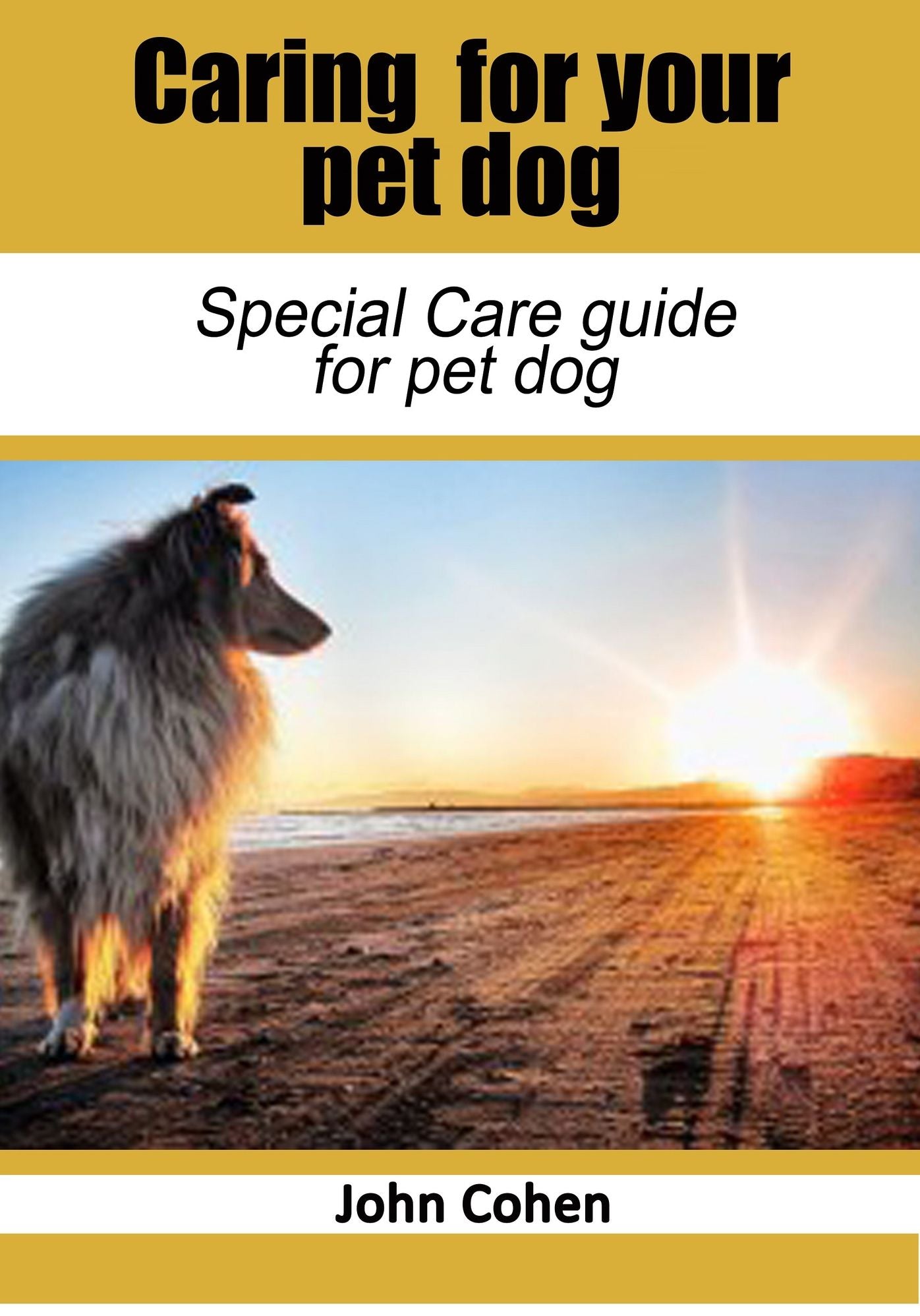 Caring for Your Pet Dog