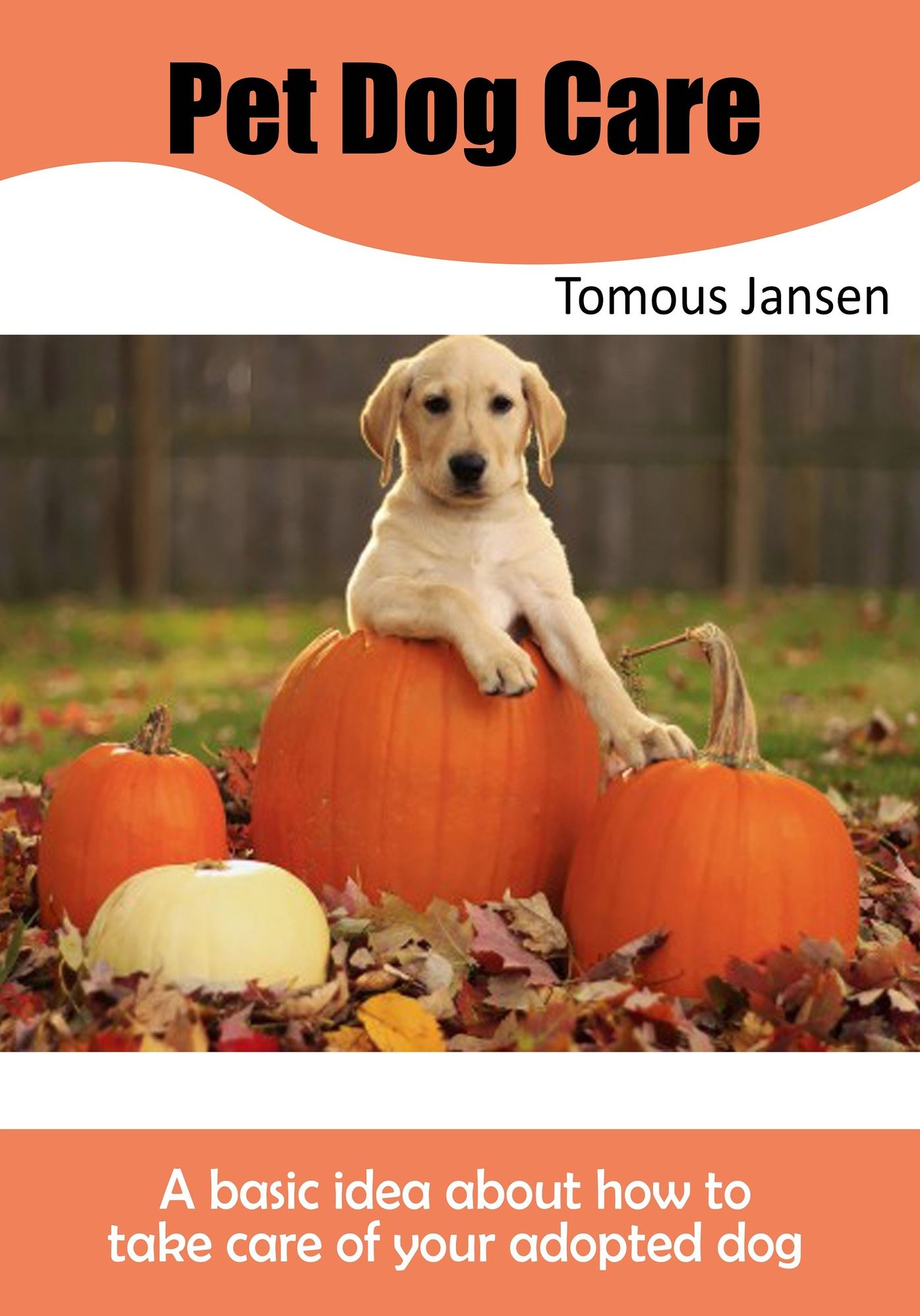 Pet Dog Care