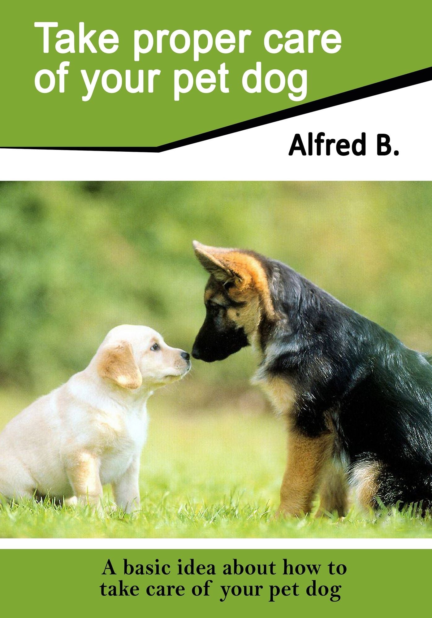 Take Proper Care of Pet Dog