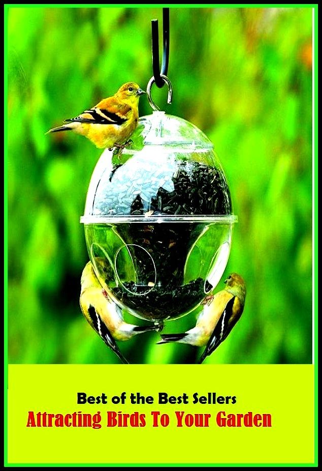 99 Cent Best Seller Atracting Birds To Your Garden ( families, household, familial, domestic, relatives, households, dynasty, home, familiar, household-type, family-run, family-related, family-owned, kin, family-based, marital, clan, parents )