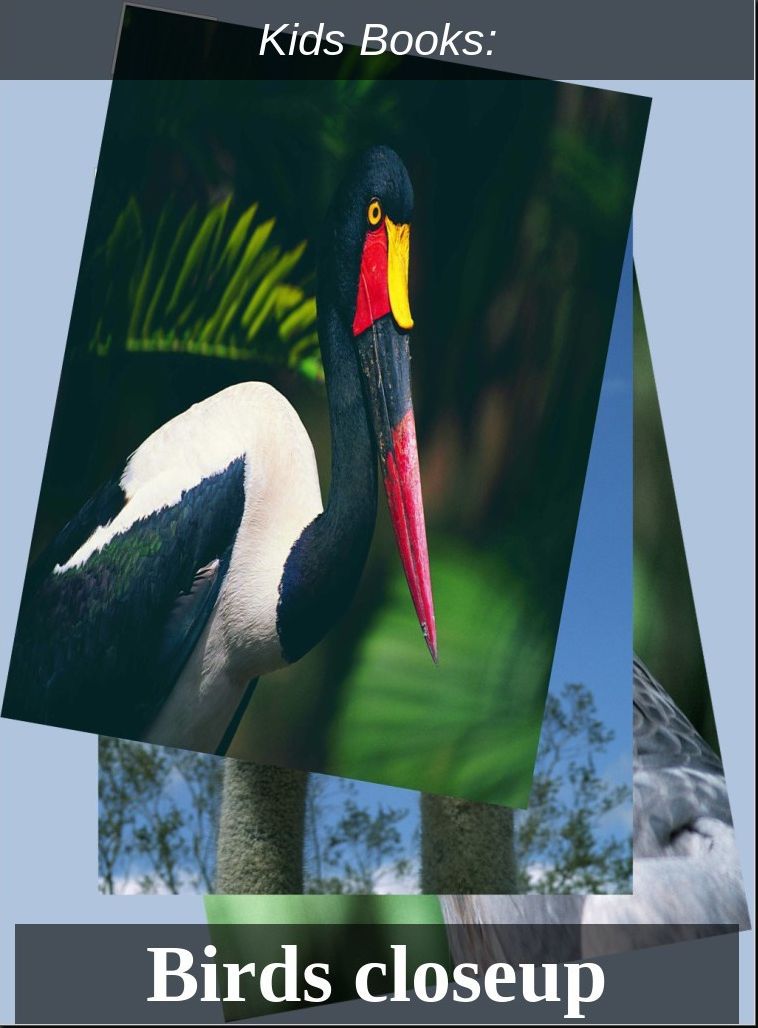 Kids Books: #4 ( Wildlife, Nature, Sea Life, Wild Birds, Corals, Tigers, Lions, Bears, Elephants, Fish, Sharks, Marine Life, Endangered, Conservation, Ecology, Substainable Living, Tree, Flower )