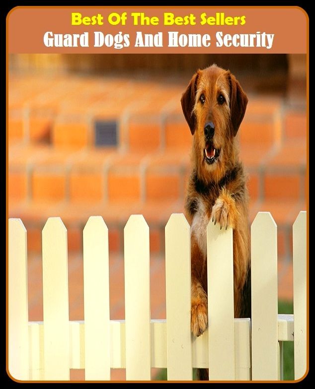 Best of The Best Sellers	Guard Dogs And Home Security (- bond, care, freedom, guarantee, insurance, preservation, surveillance, aegis, agreement, armament)