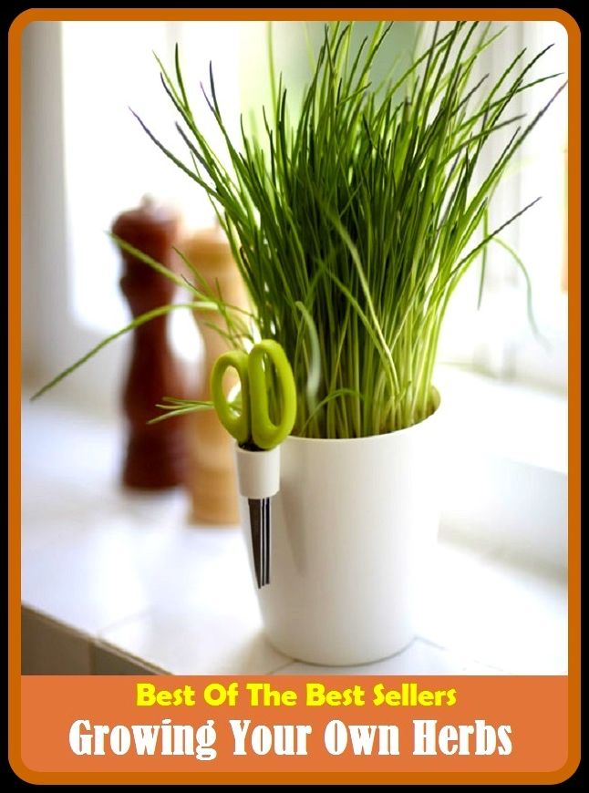 Best of The Best Sellers	Growing Your Own Herbs (advance, age, become, breed, build, come, cultivate, develop, expand, flourish)