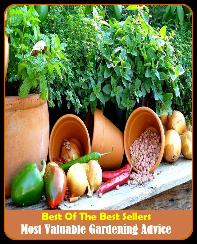 Best of The Best Sellers	Most Valuable Gardening Advice (- back yard, bed, field, greenhouse, nursery, patio, terrace, conservatory, enclosure, hothouse)