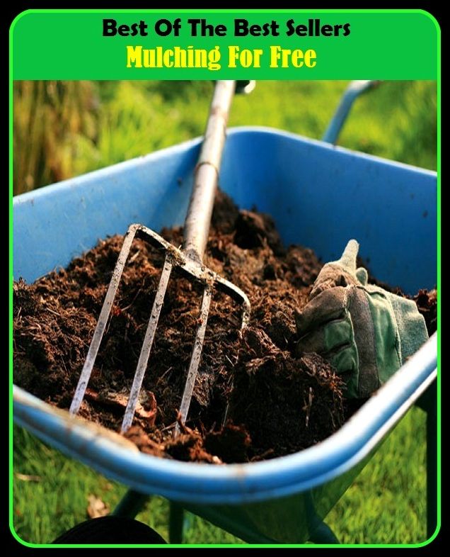 Best of The Best Sellers	Mulching For Free (-,first,first-rate,leading,outstanding,perfect,terrific,tough,ac)