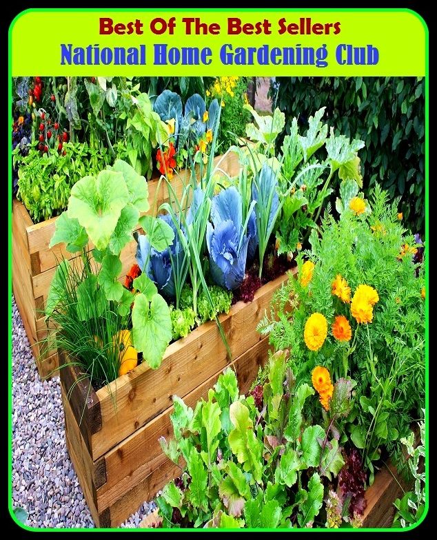 Best of The Best Sellers	National Home Gardening Club (back yard, bed, field, greenhouse, nursery, patio, terrace, conservatory, enclosure, hothouse)