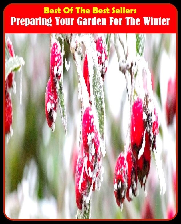 Best of The Best Sellers	Preparing Your Garden For The Winter (back yard, bed, field, greenhouse, nursery, patio, terrace, conservatory, enclosure, hothouse)
