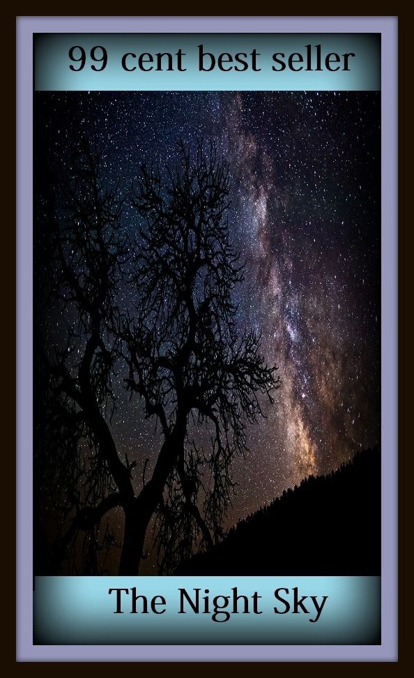 99 Cent Best Seller The Night Sky ( solar, stellar, lunar, world, earth, universe, planet, cosmos, space, creation, life, globe, outer space, asteroid, astronomy, telescope )