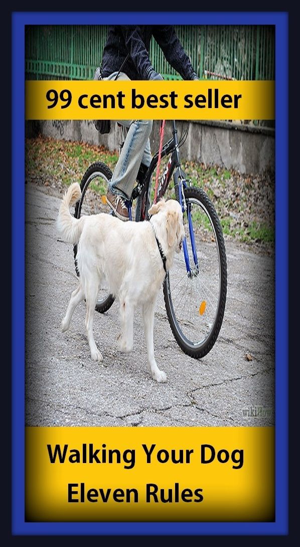 99 Cent Best Seller Walking Your Dog Eleven Rules ( puppy, puppies, dogs, golden retriever, pit bull, terrier, hound, great Dane, chiwawa, husky, labrador, shepard, doberman, jack russel, hotdog )