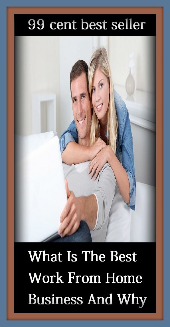 99 Cent Best Seller What Is The Best Work From Home Business And Why ( business, employment, field, trade, work, bag, biz, calling, career, craft, dodge, function, game, line, livelihood, occupation, vocation )