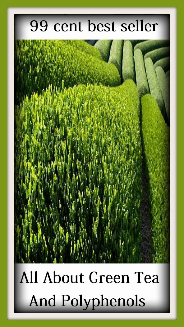99 Cent Best Seller All About Green Tea And Polyphenols ( exercise, meditation, acupuncture, disease, digestive system, formula, medicine, remedy, fix, treatment, action, conduct, behavior, handling, gastrin, fitness, vitamins, healing, diet, cut down )