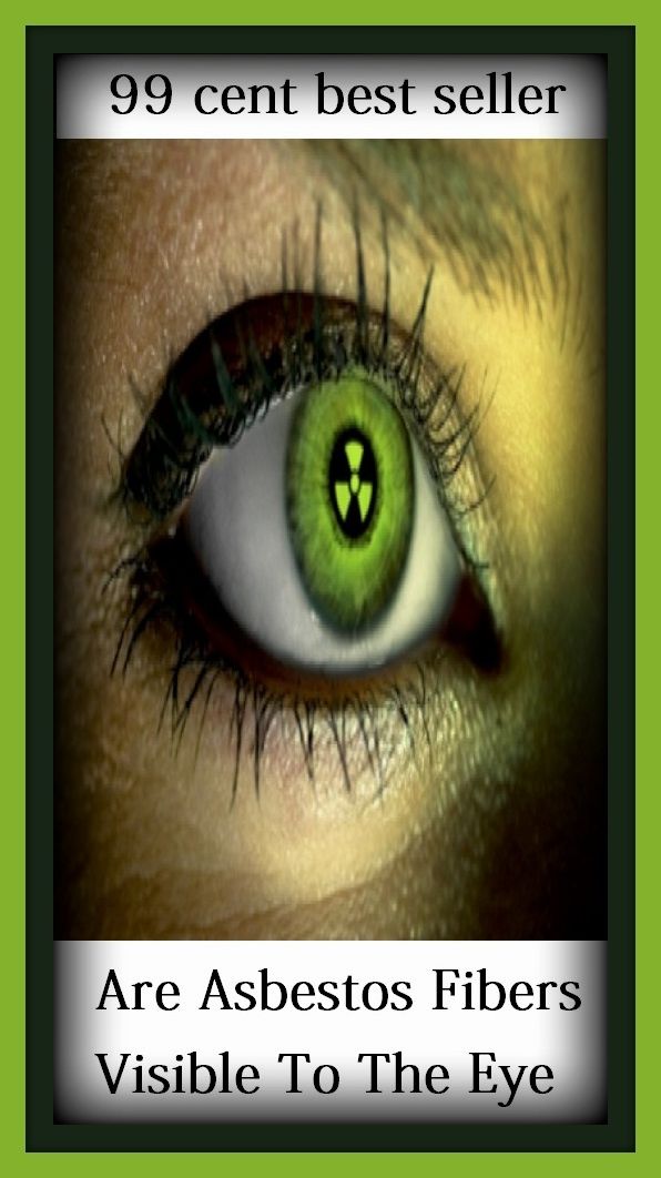 99 Cent Best Seller Are Asbestos Fibers Visible To The Eye ( essay, paper, thesis, dissertation, composition, article, treatise, theory, idea, hypothesis )