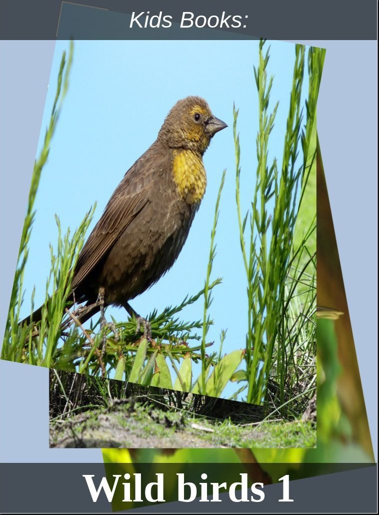 Children's Books: #177 ( Wildlife, Nature, Sea Life, Wild Birds, Corals, Tigers, Lions, Bears, Elephants, Fish, Sharks, Marine Life, Endangered, Conservation, Ecology, Substainable Living, Tree, Flower )