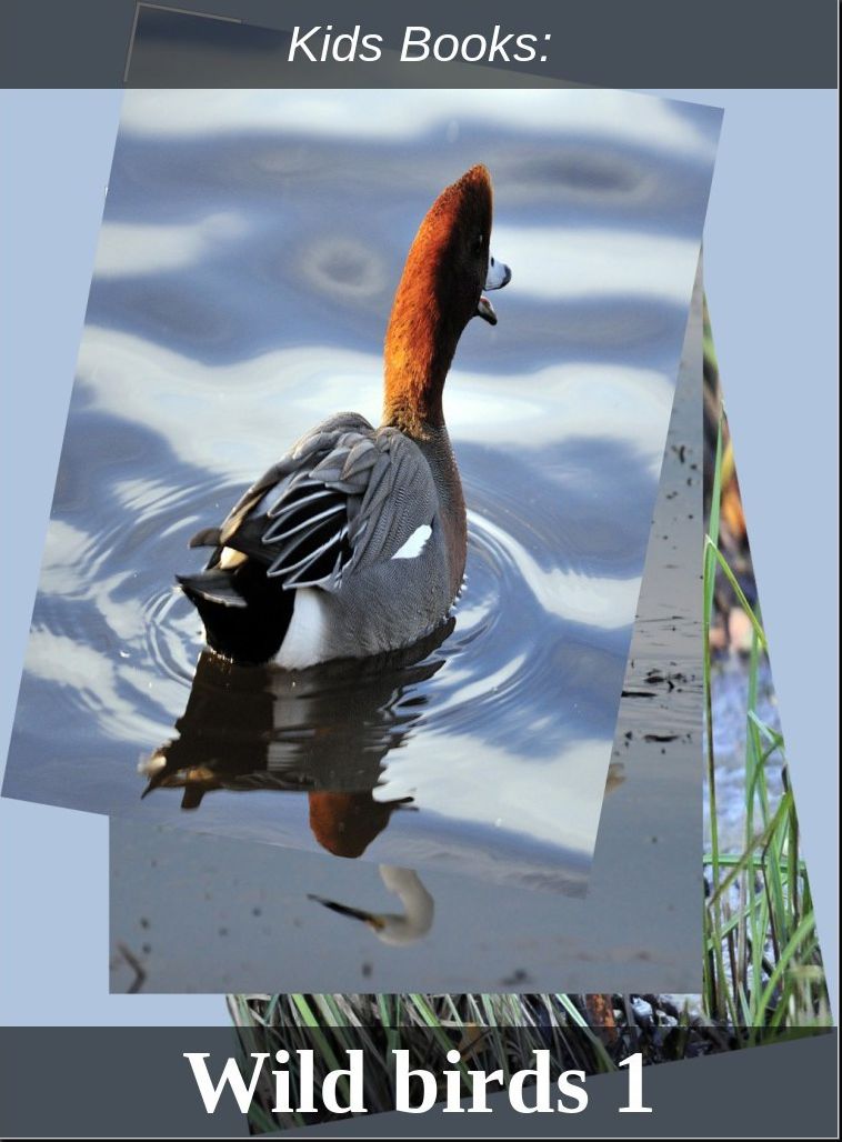Children's Books: #199 ( Wildlife, Nature, Sea Life, Wild Birds, Corals, Tigers, Lions, Bears, Elephants, Fish, Sharks, Marine Life, Endangered, Conservation, Ecology, Substainable Living, Tree, Flower )