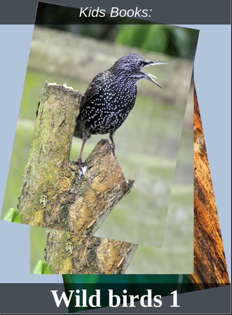 Children's Books: #201 ( Wildlife, Nature, Sea Life, Wild Birds, Corals, Tigers, Lions, Bears, Elephants, Fish, Sharks, Marine Life, Endangered, Conservation, Ecology, Substainable Living, Tree, Flower )