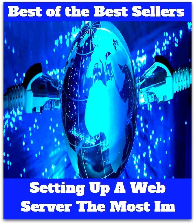 Best of the Best Sellers Setting Up A Web Server The Most Im ( web page, spider web, web site, spider's web, web designer, web-footed, worldwide web, net, lattice, latticework, lacework, webbing, gauze )