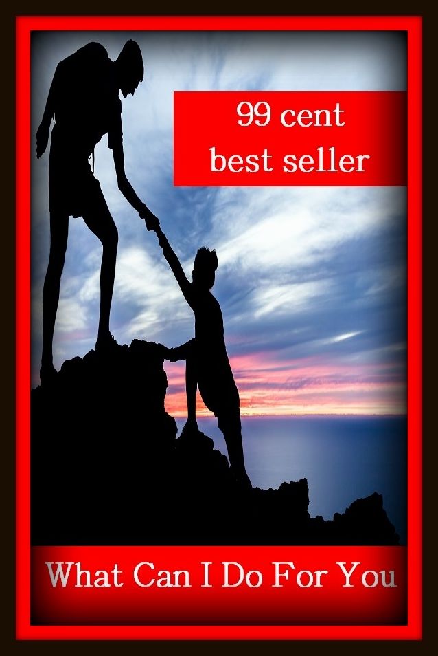 99 Cent Best Seller What Can I Do For You ( paying attention, wish, admiration, respectfulness, esteem, respect, regard, deference, attentiveness, obedience, gaze, heed, compliments )
