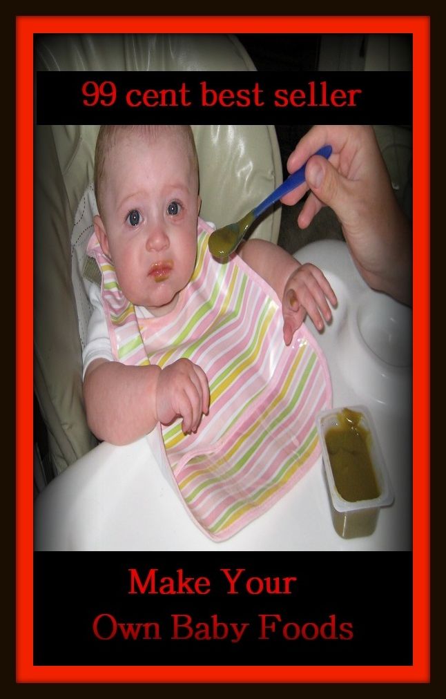 99 Cent Best Seller Make Your Own Baby Foods ( children, infant, nino, kid, childhood, son, kids, baby, enfant, boy, enfant, infantil, juvenile, infantile, minor, minors, secondary, daughter, enfant, girl, ninos )