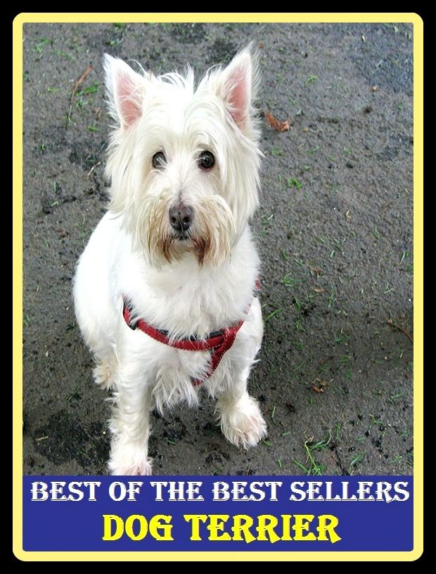 Best of the Best Sellers Dog Terrier ( dog sleigh, dog slow, dog star, dog stink horn, dog tag, dog turd, dog violet, dog whelk, dog whistle, dog wrench )