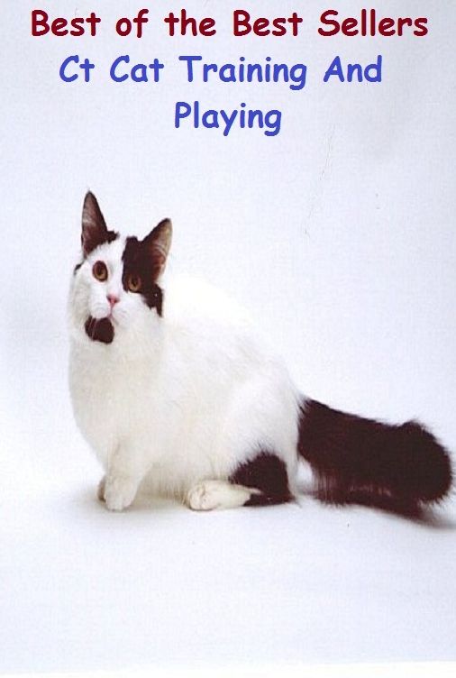 Best of the Best Sellers Ct Cat Training And Playing (acting, waver, aping, wagering, bickering, toying, buffoonery, taking a role, cardsharping, stroboscopic)