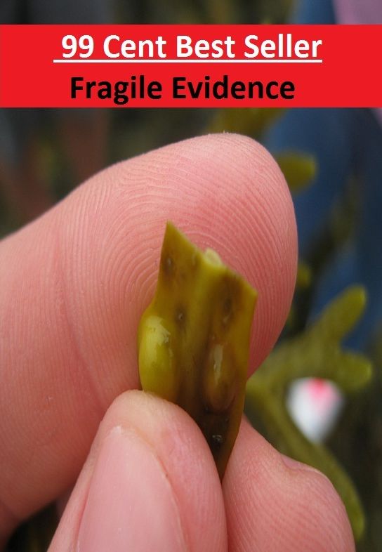 Adventure: 99 Cent Best Seller Adventure, Horror, Mystery Classics Best Seller's for 99 Cents Fragile Evidence ( Mystery, romance, action, adventure, sci fi, science fiction, drama horror thriller, literature, suspense)