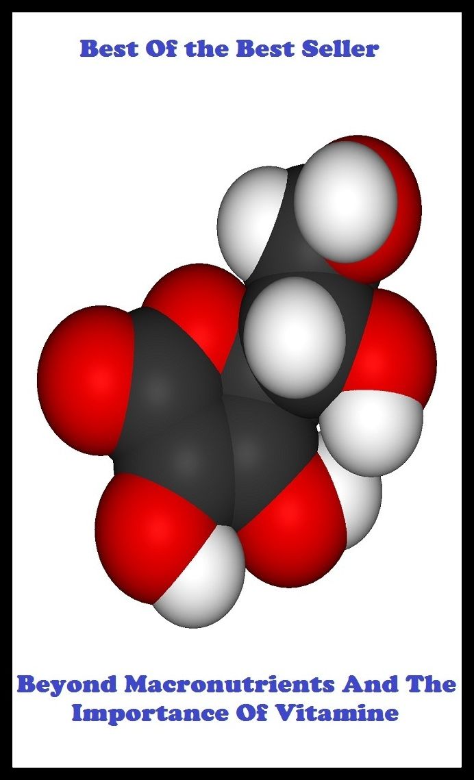 Best of the Best Sellers Beyond Macronutrients And The Importance Of Vit ( significance, momentousness, import, consequence, note, noteworthiness, substance, seriousness, gravity, weightiness )