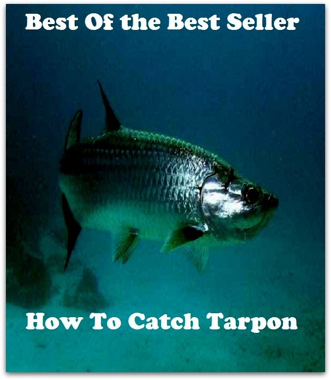Best of the Best Sellers	How To Catch Tarpon E book ( register, book, ledger, exercise book, daybook )