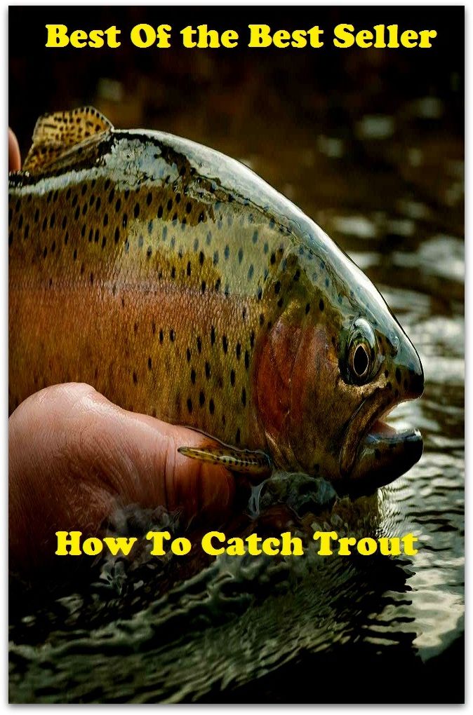 Best of the Best Sellers	How To Catch Trout E book ( register, book, ledger, exercise book, daybook )