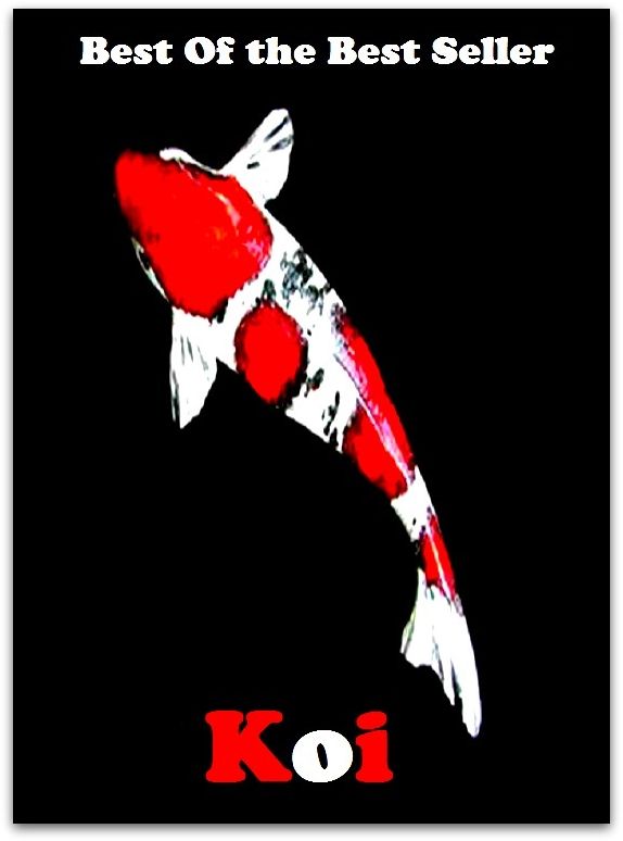 Best of the Best Sellers Koi (cohort, checkout, koala-ju00e4rve, Hutu, oi, bronchial, quoin, kine, Kohinoor, antimatter)