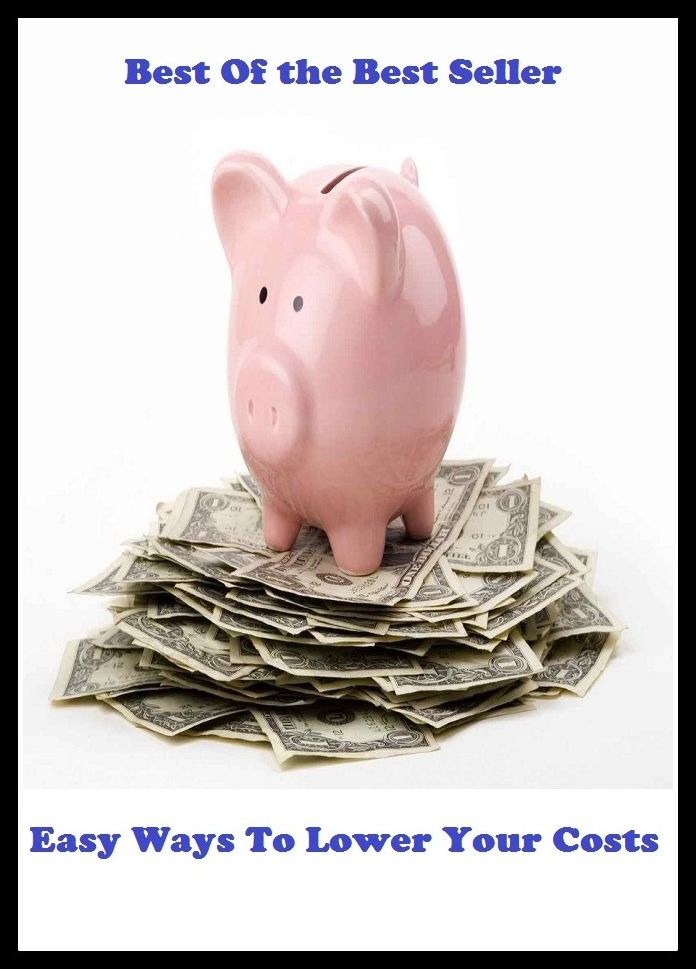 Best of the best sellers Easy Ways To Lower Your Costs ( way, method, means, technique, mode, system, approach, manner, line of attack, routine )